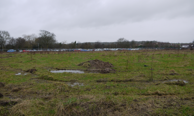 cribbs-causeway-news-wk-1.1